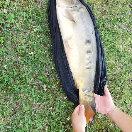 Dunasor1 Lägenhet